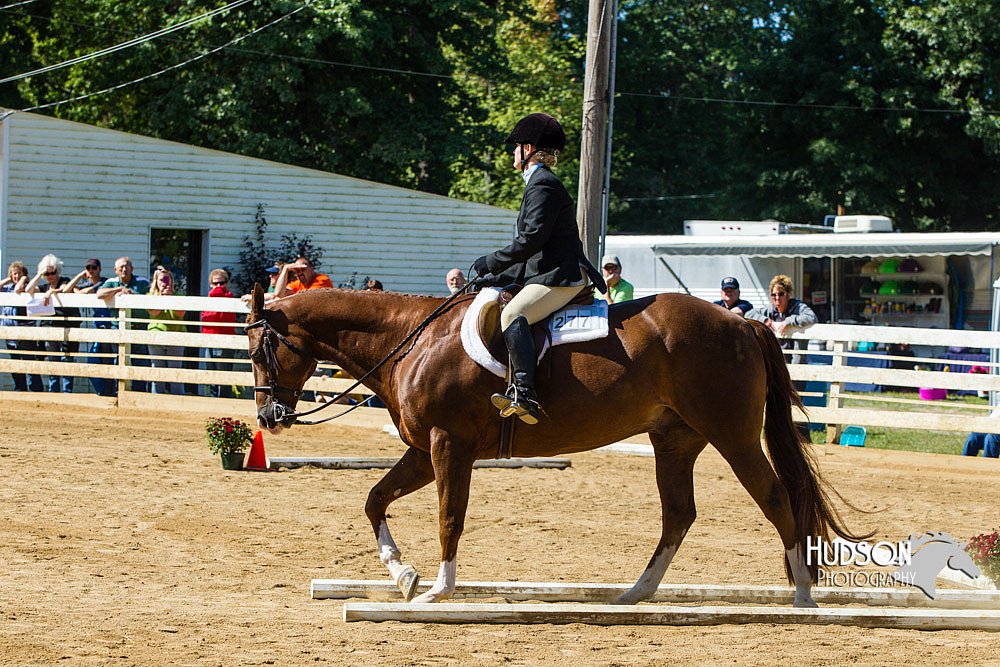 4H-Distr-090713-0760.jpg