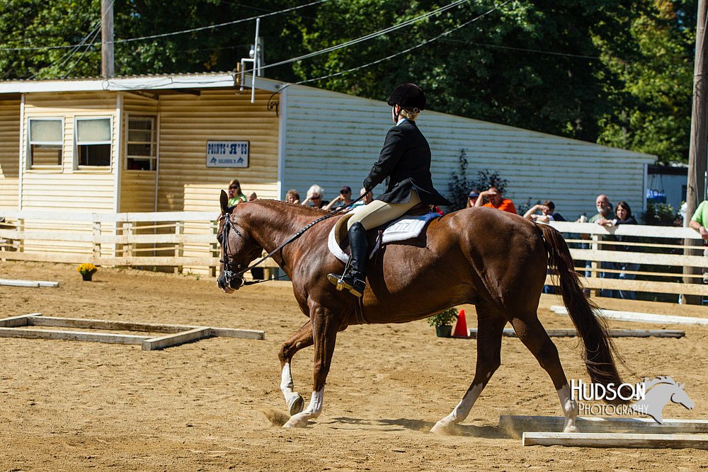 4H-Distr-090713-0761.jpg