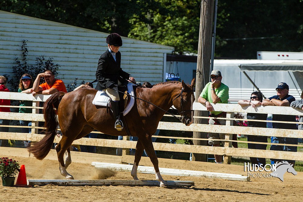 4H-Distr-090713-0762.jpg