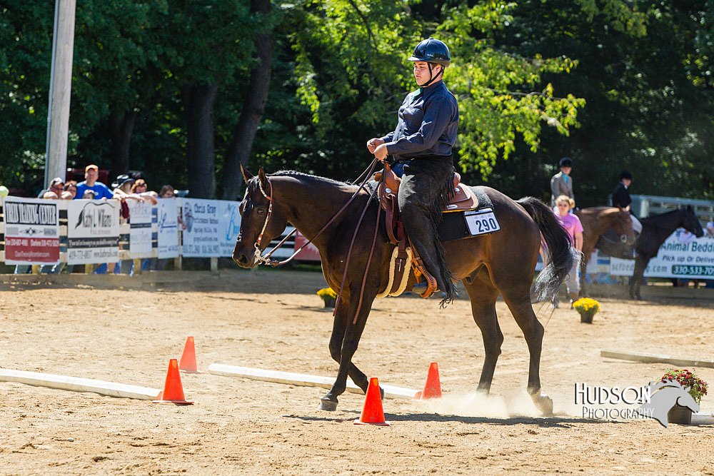 4H-Distr-090713-0771.jpg