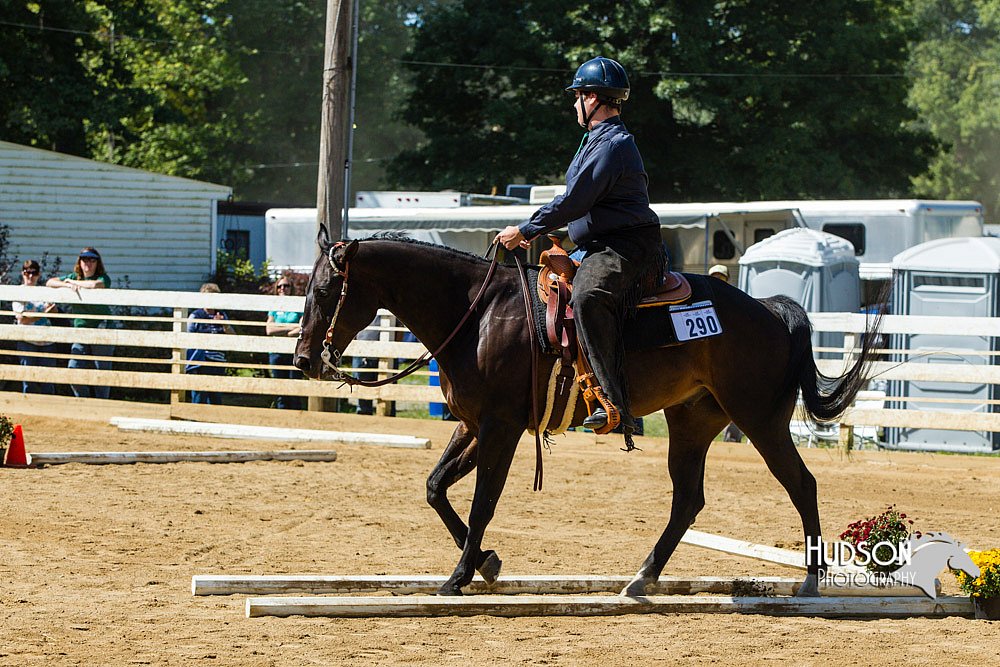 4H-Distr-090713-0775.jpg