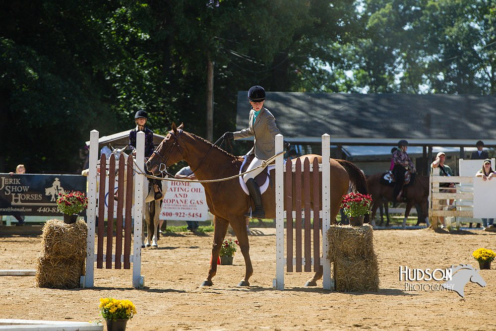 4H-Distr-090713-0778.jpg
