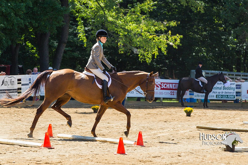 4H-Distr-090713-0782.jpg