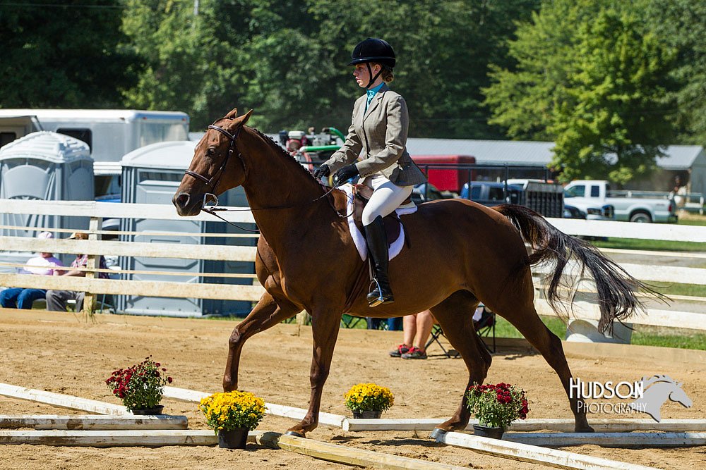 4H-Distr-090713-0789.jpg