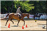 4H-Distr-090713-0782.jpg