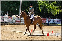 4H-Distr-090713-0786.jpg