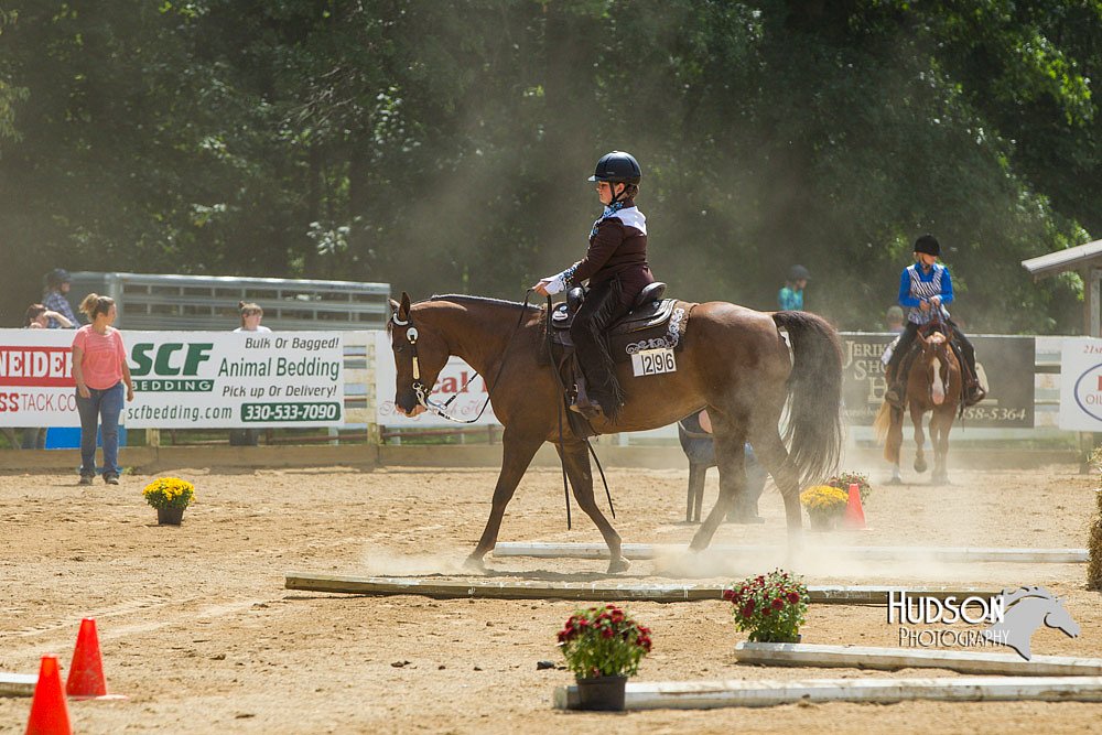 4H-Distr-090713-0842.jpg
