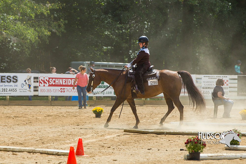 4H-Distr-090713-0843.jpg