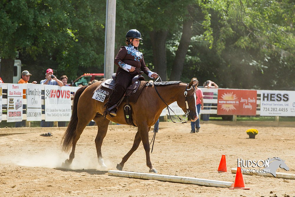 4H-Distr-090713-0848.jpg