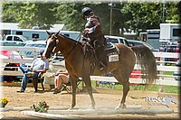4H-Distr-090713-0857.jpg