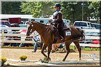4H-Distr-090713-0858.jpg
