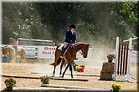 4H-Distr-090713-0862.jpg