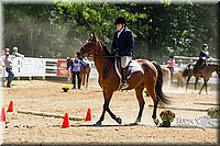 4H-Distr-090713-0874.jpg
