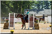 4H-Distr-090713-0886.jpg