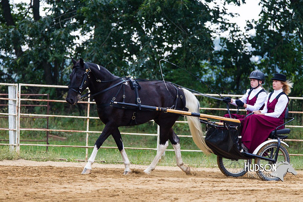 4H-Distr-090813-1444.jpg
