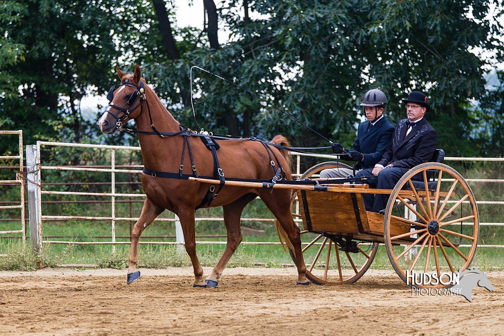 4H-Distr-090813-1448.jpg