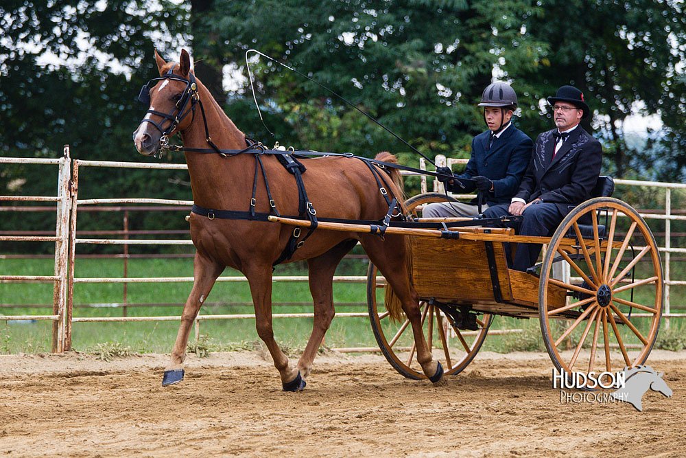 4H-Distr-090813-1449.jpg