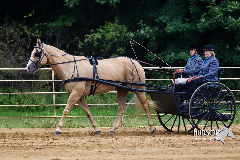 4H-Distr-090813-1451.jpg