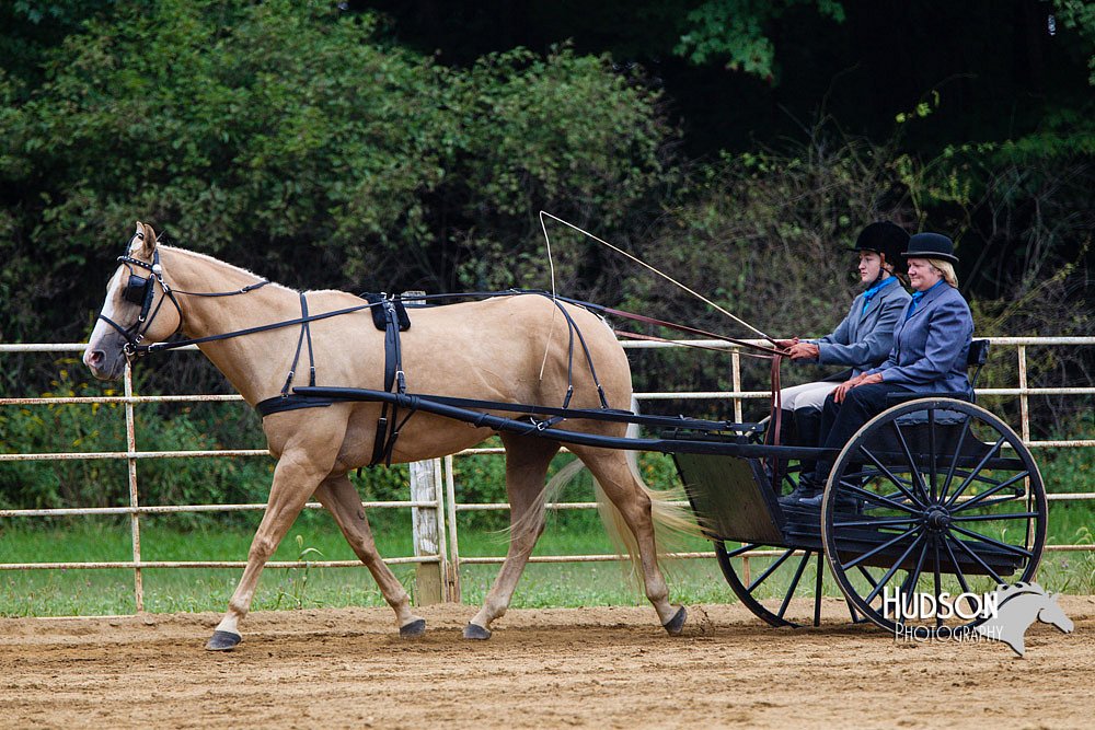 4H-Distr-090813-1452.jpg