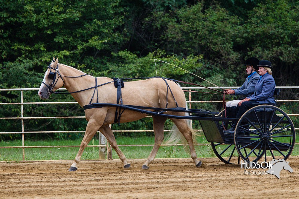 4H-Distr-090813-1453.jpg