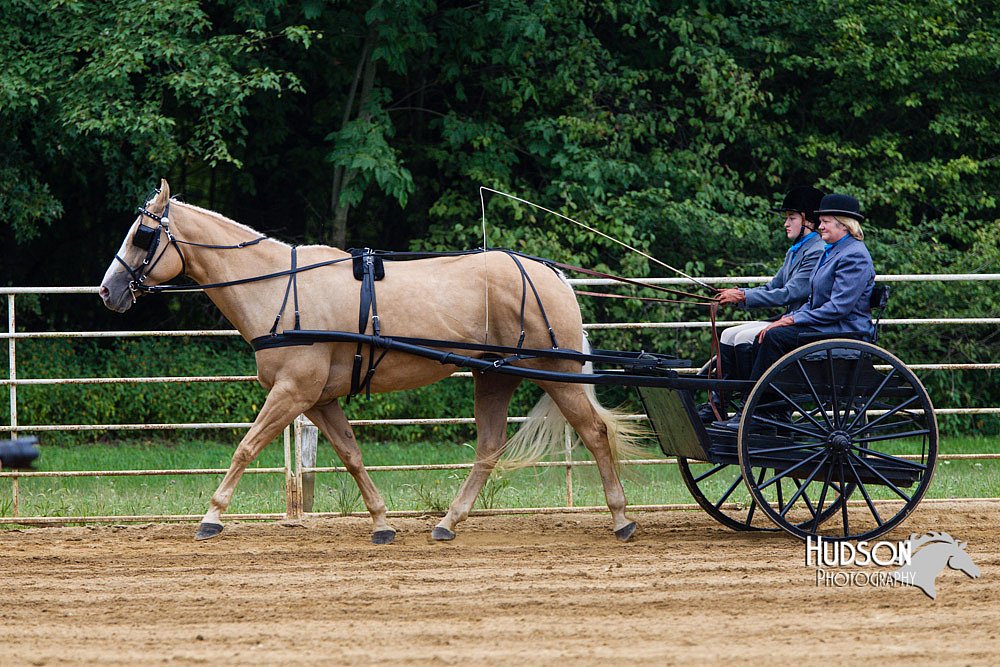 4H-Distr-090813-1454.jpg