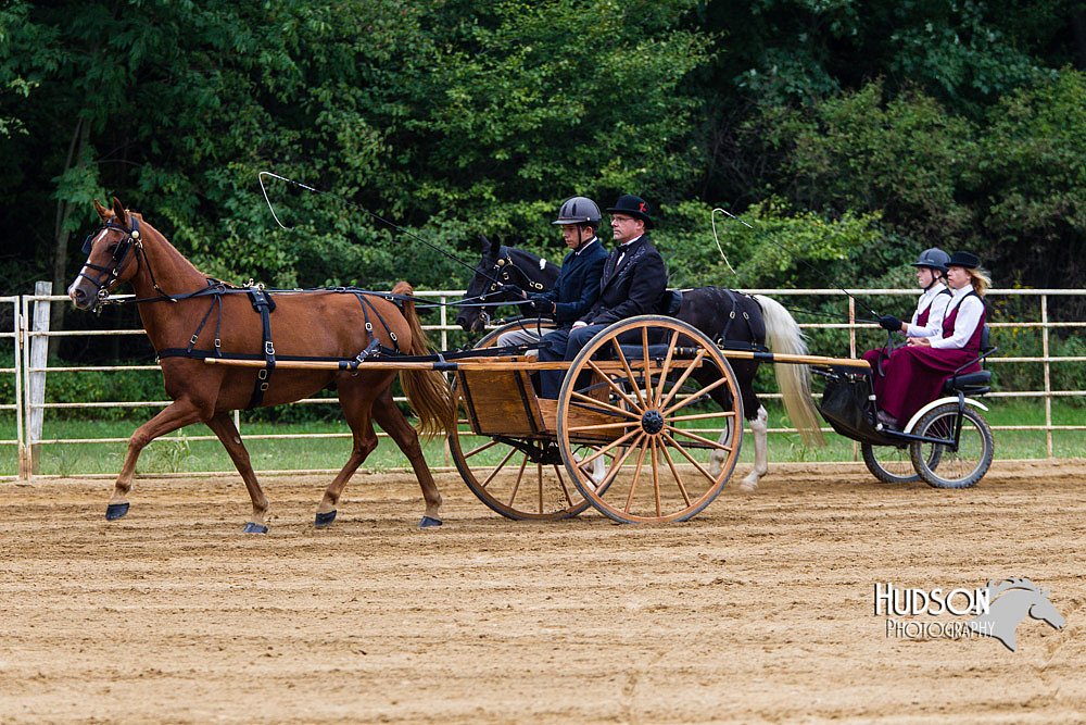 4H-Distr-090813-1455.jpg