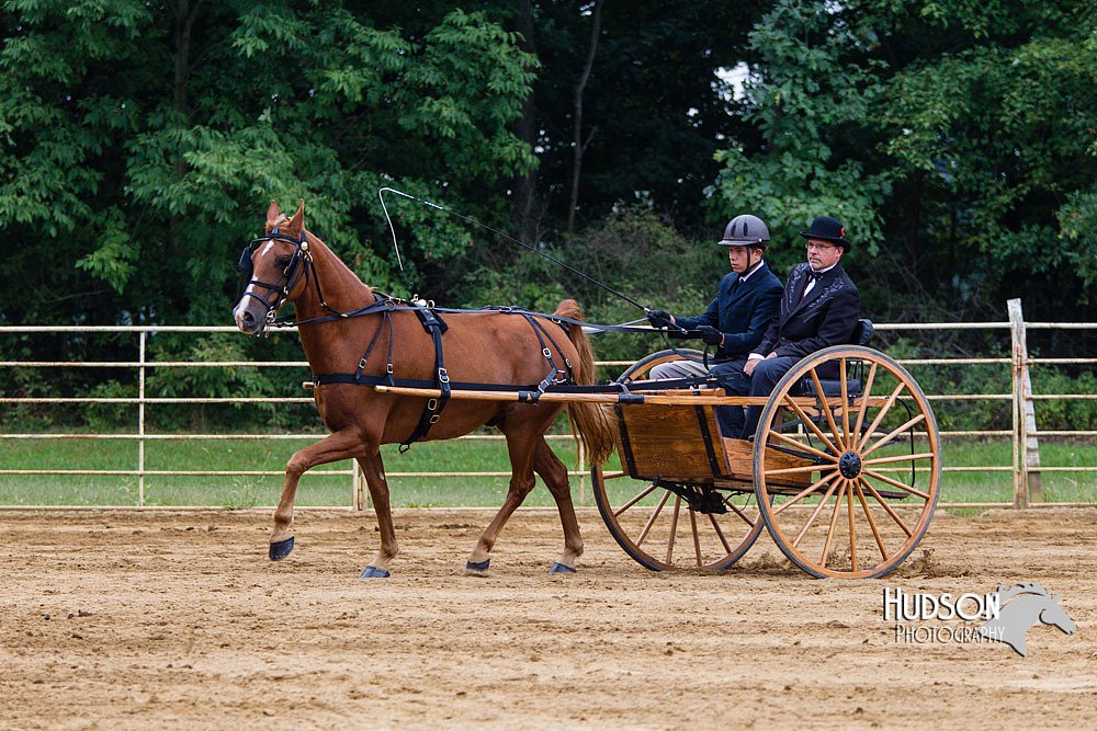 4H-Distr-090813-1456.jpg