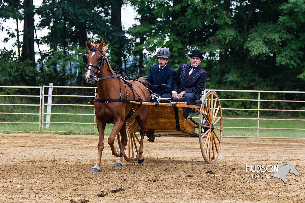 4H-Distr-090813-1457.jpg