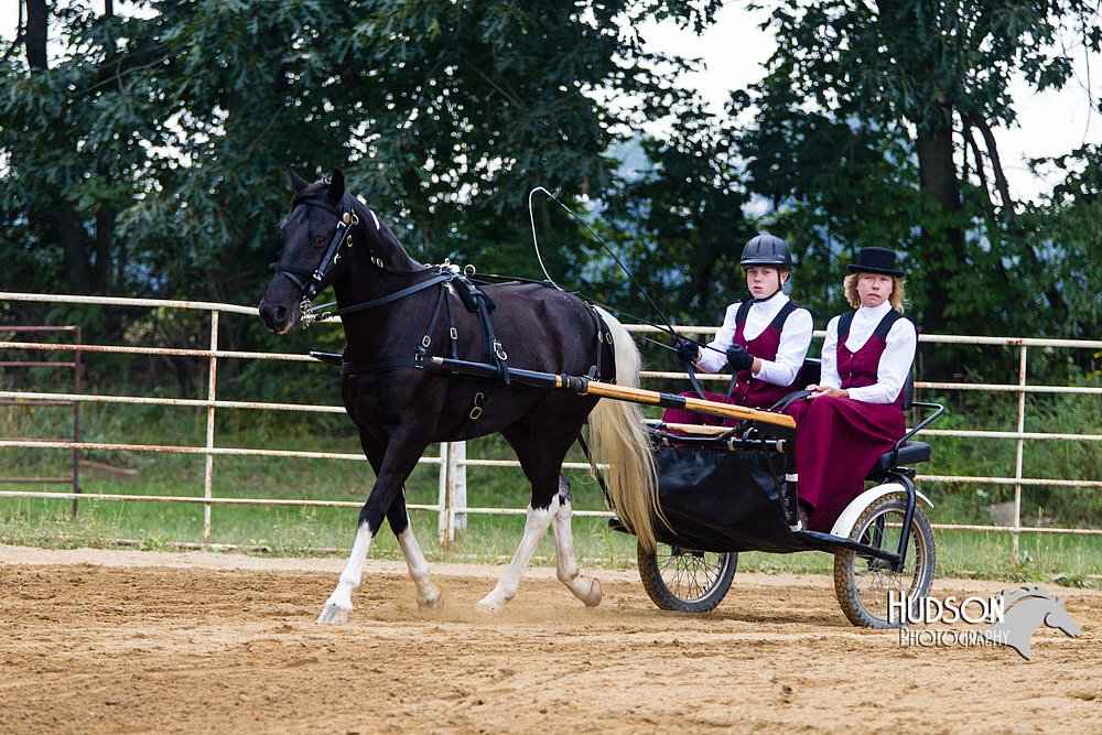 4H-Distr-090813-1458.jpg