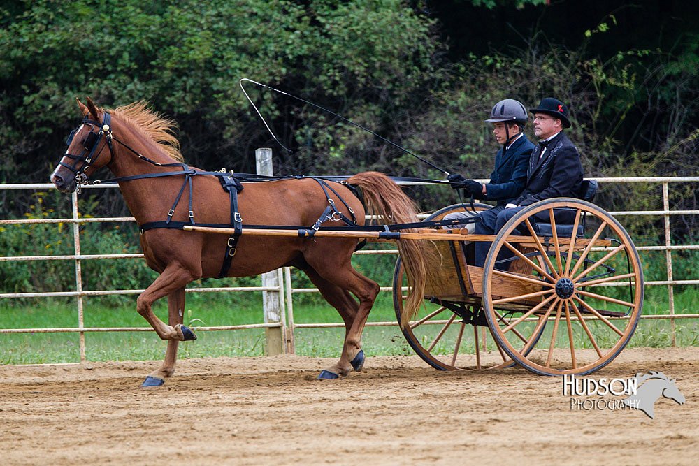 4H-Distr-090813-1460.jpg