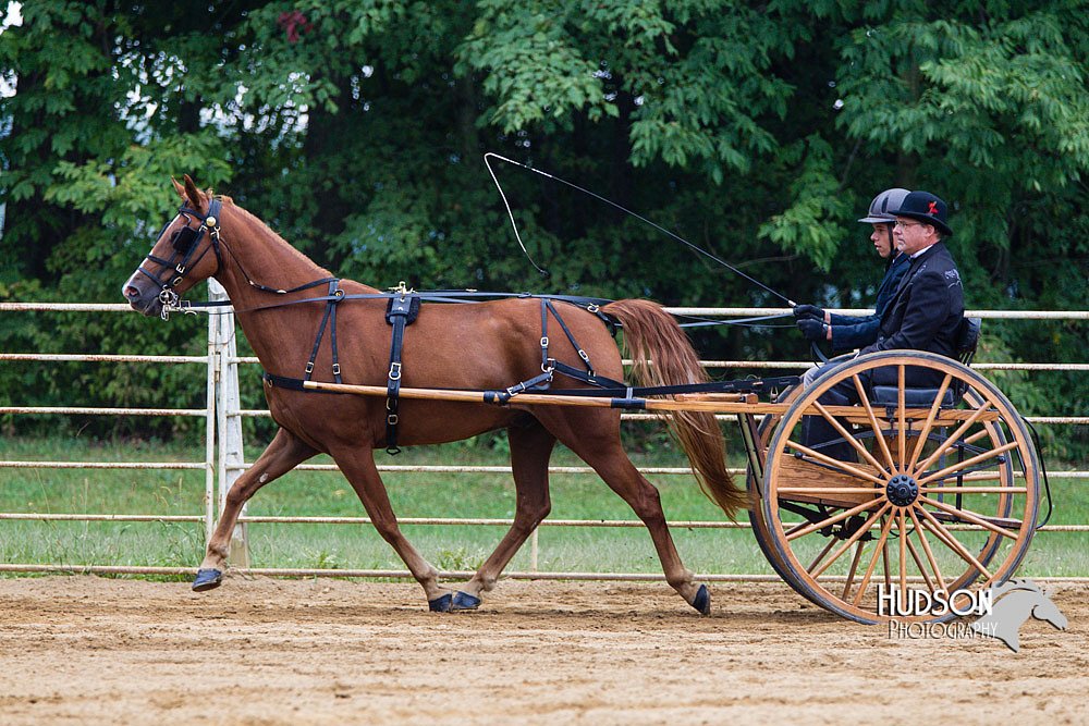 4H-Distr-090813-1461.jpg