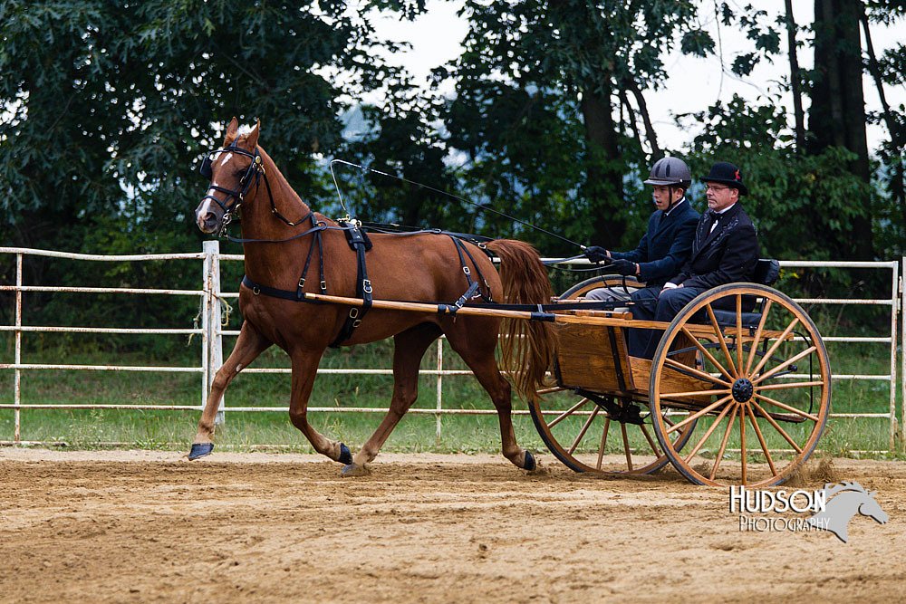 4H-Distr-090813-1462.jpg