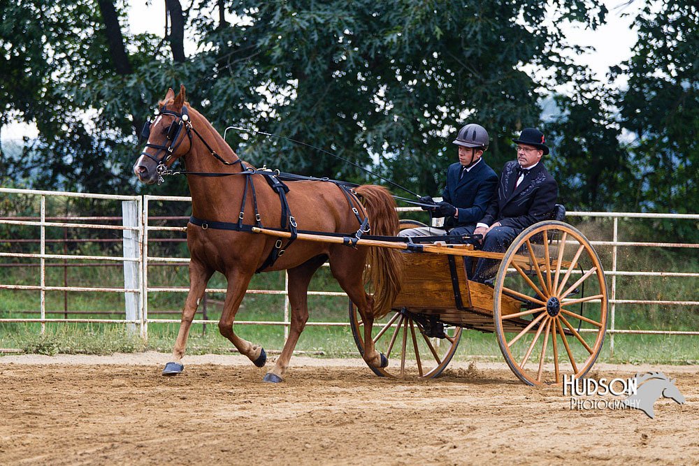 4H-Distr-090813-1463.jpg