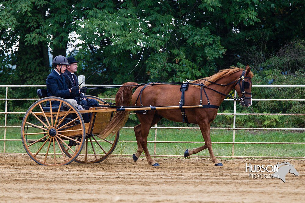 4H-Distr-090813-1464.jpg