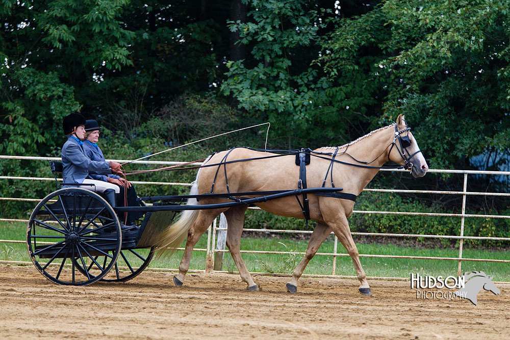 4H-Distr-090813-1468.jpg