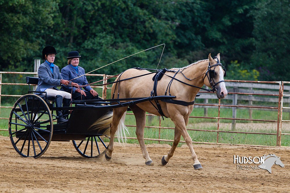 4H-Distr-090813-1471.jpg