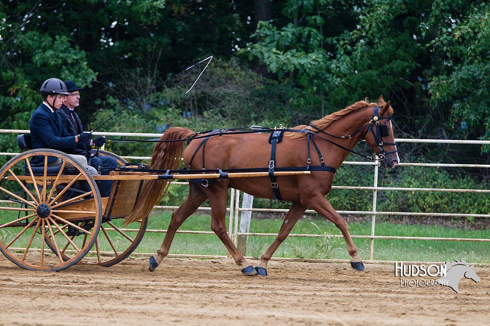 4H-Distr-090813-1474.jpg