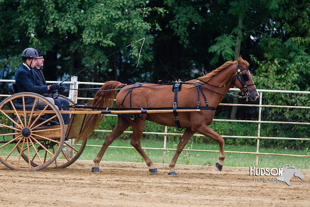 4H-Distr-090813-1475.jpg