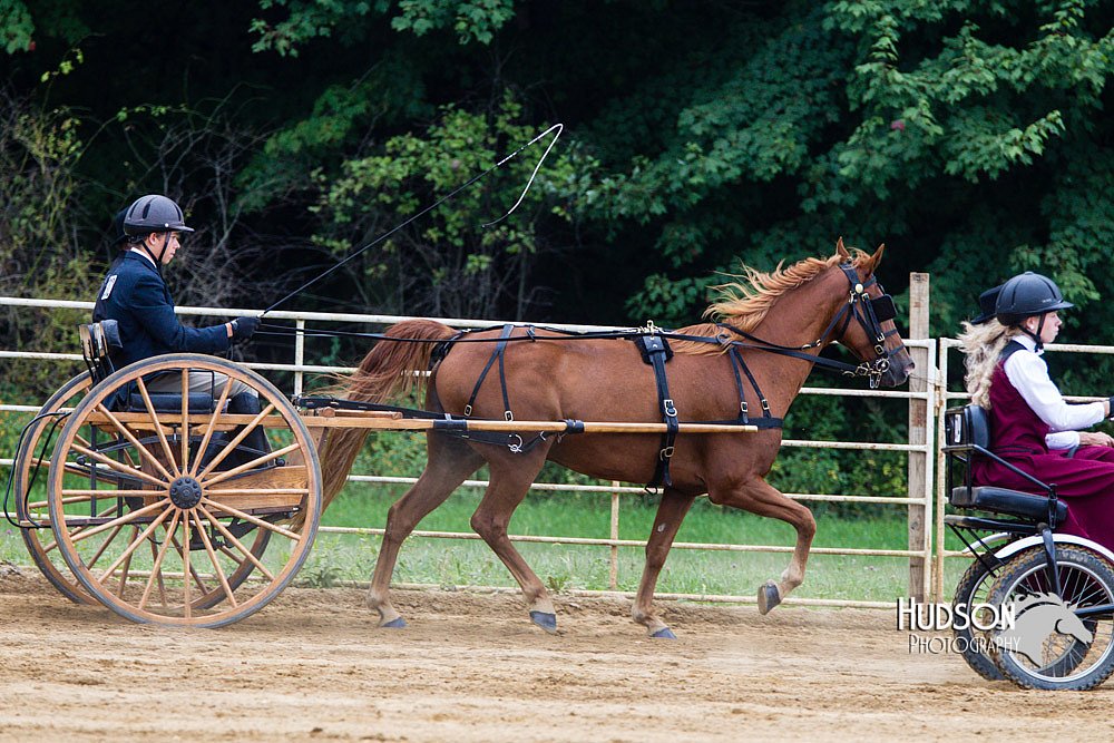 4H-Distr-090813-1476.jpg