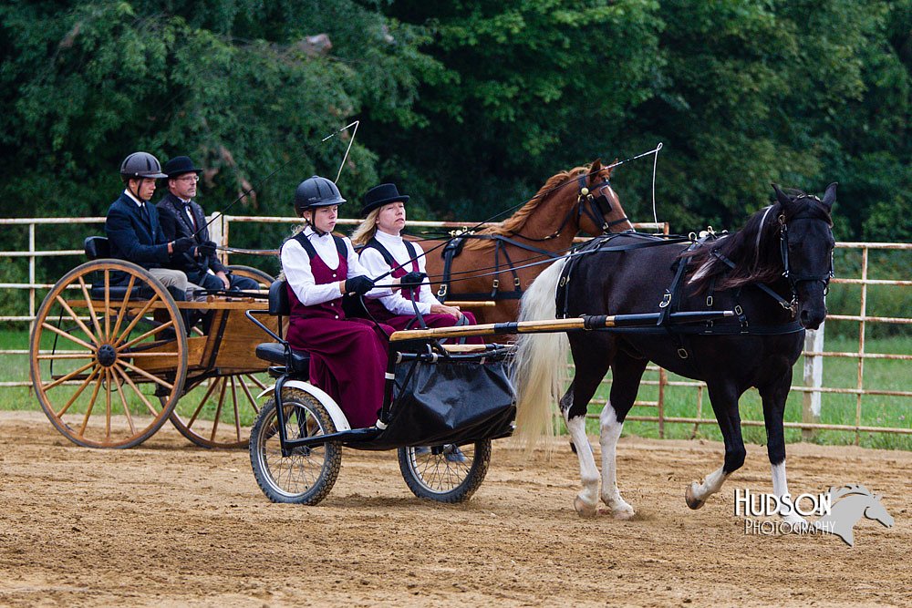 4H-Distr-090813-1477.jpg