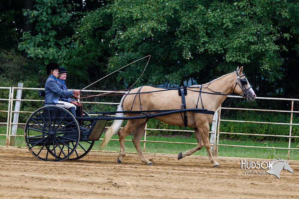 4H-Distr-090813-1478.jpg