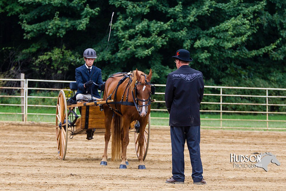 4H-Distr-090813-1480.jpg