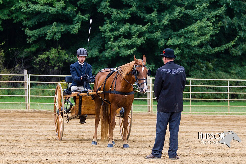 4H-Distr-090813-1481.jpg