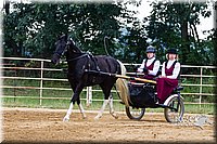4H-Distr-090813-1458.jpg
