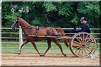 4H-Distr-090813-1461.jpg