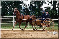 4H-Distr-090813-1462.jpg