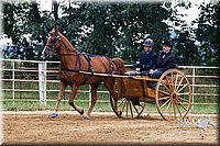 4H-Distr-090813-1463.jpg
