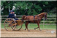 4H-Distr-090813-1464.jpg
