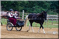 4H-Distr-090813-1466.jpg