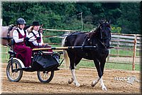 4H-Distr-090813-1467.jpg